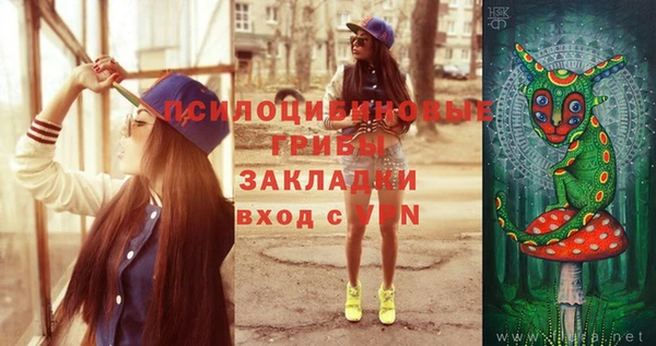 прущие крисы Богородицк