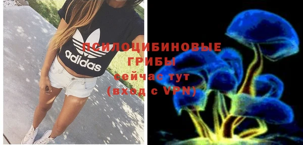 прущие крисы Богородицк