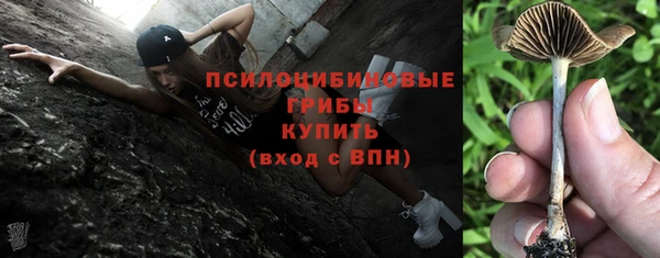 ПСИЛОЦИБИНОВЫЕ ГРИБЫ Бугульма