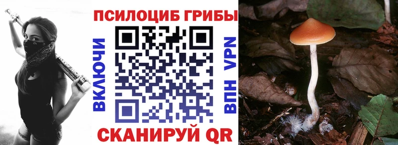 даркнет клад Дальнегорск Галлюциногенные грибы Cubensis